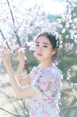 俄罗斯引擎YANDEX进入